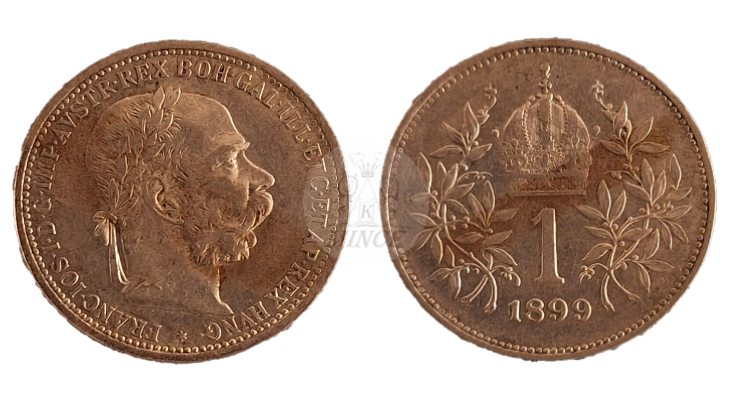 Koruna 1899 Vídeň