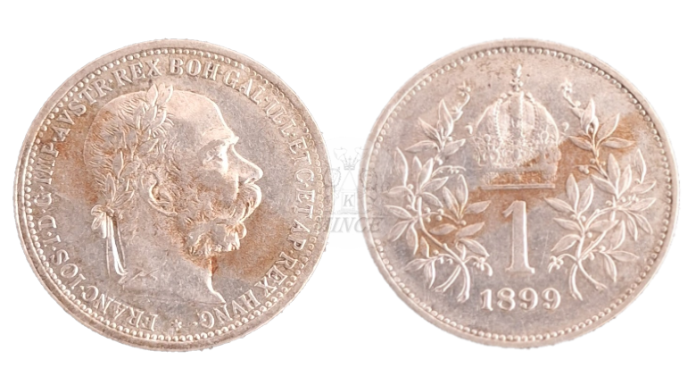Koruna 1899 František Josef I