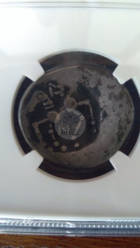 AR Tetradrachma Sattelkopfpferd