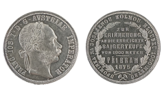 florin 1875 Příbramský florin 1875 Příbramský
